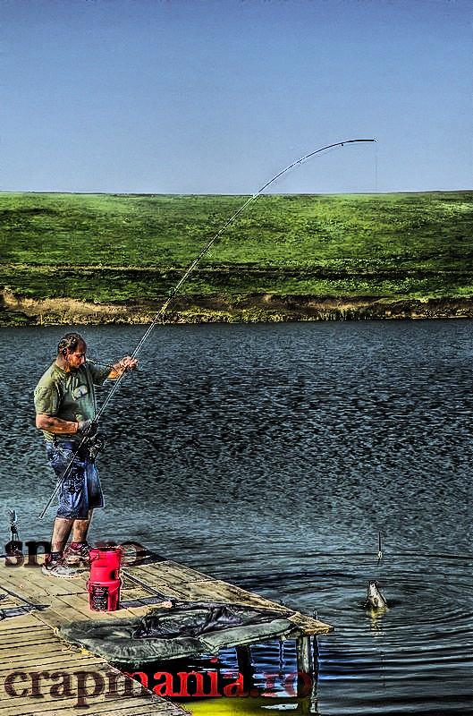 Party Cup (2) - 2013 - 1010595-1hdrmode3.JPG